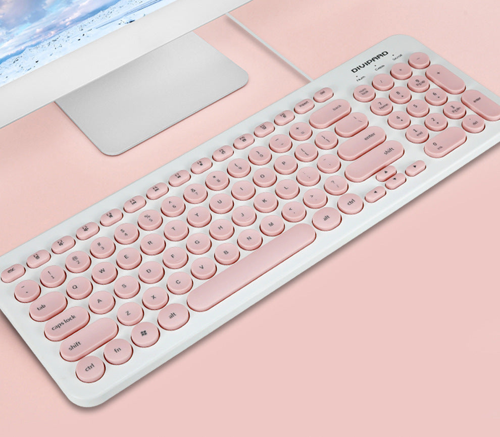 D520 Ultra-Thin Wired Keyboard - 104 Key Silent Office & Gaming Keyboard with Retro Round Keycaps